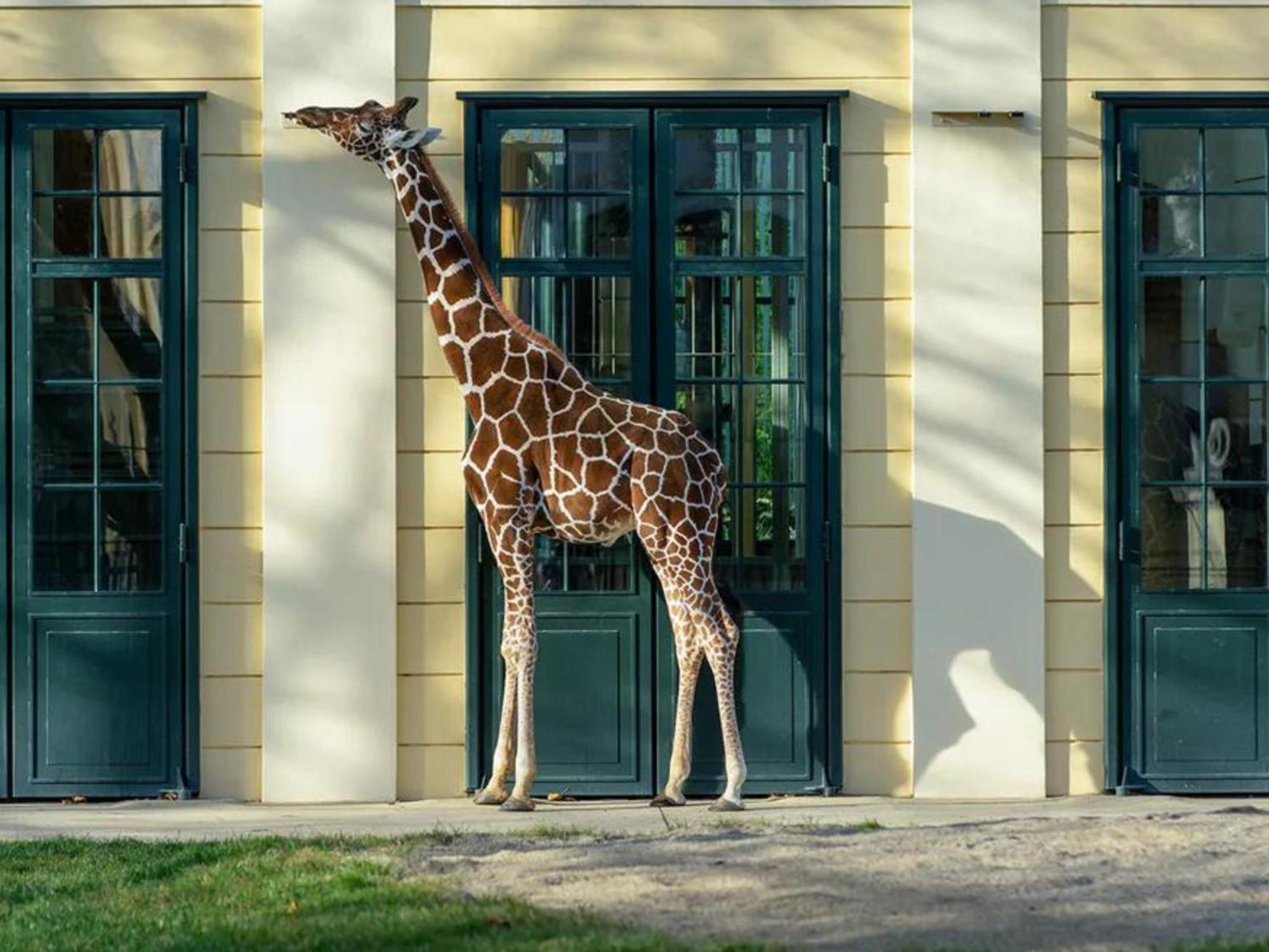 Kaiser Lodge - Rooftop Pool & Underground Car Park By Alpenluxus Appartements Vienna Luaran gambar